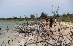 Fenômeno de nuvem de arco-íris de fogo é um fenômeno natural chamado  irisação ou iridescência